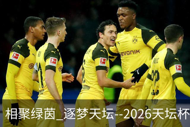 相聚绿茵 逐梦天坛--2026天坛杯青少年足球交流火热开启